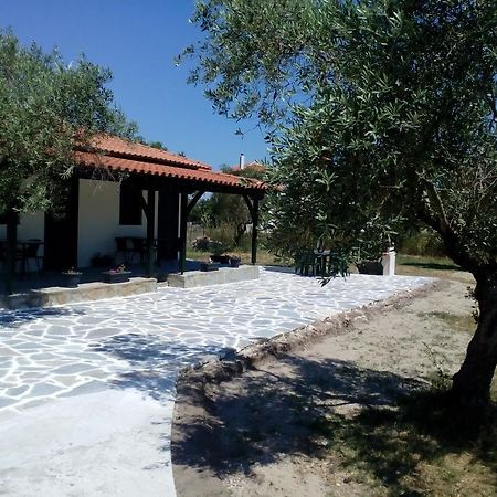 Pappou'S Studios Ormos Panagias Luaran gambar